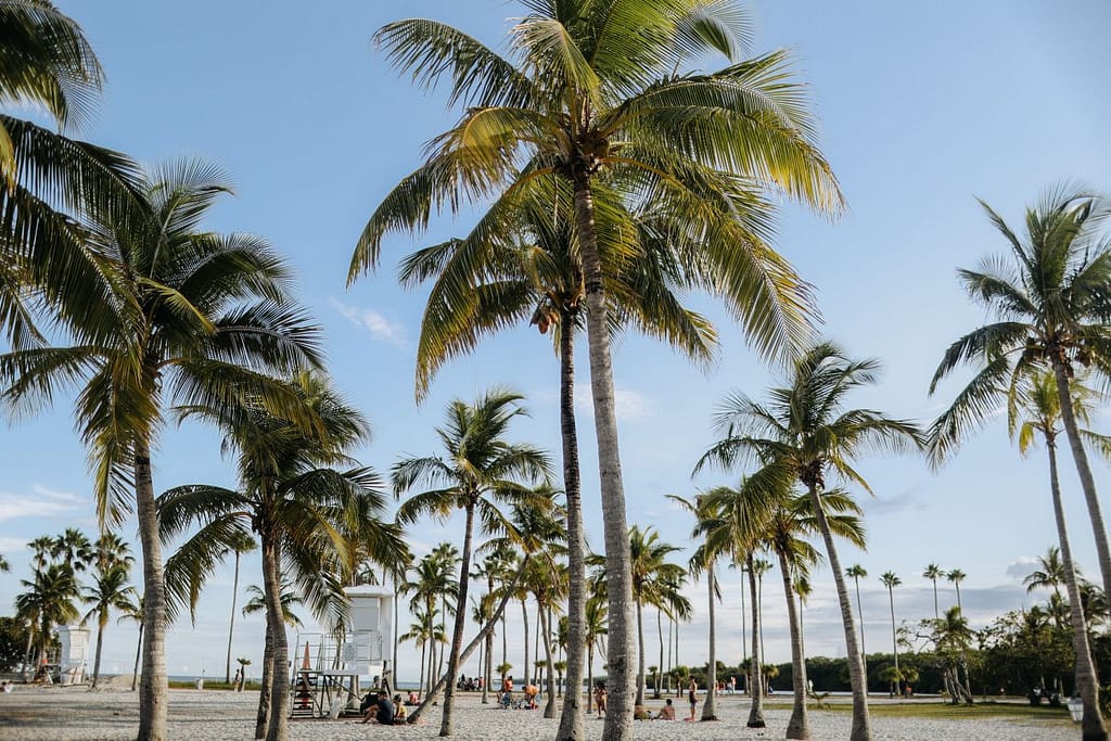 Transporte en Miami durante el Mundial 2026: opciones, rutas y servicios claves para moverse sin complicaciones